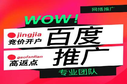 竞价推广公司经典案例：打造行业领先的广告投放效果